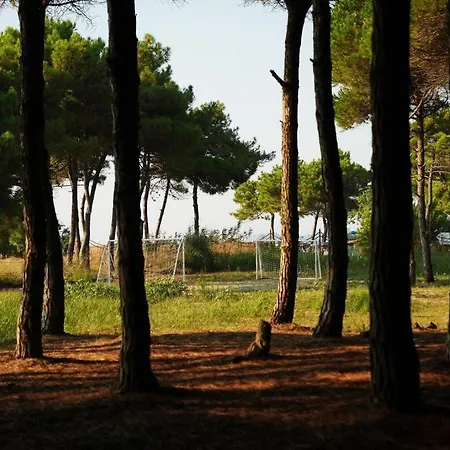 Lejlighed The Beachfront By Pikhost Golem (Tirana)