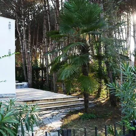 The Beachfront By Pikhost *