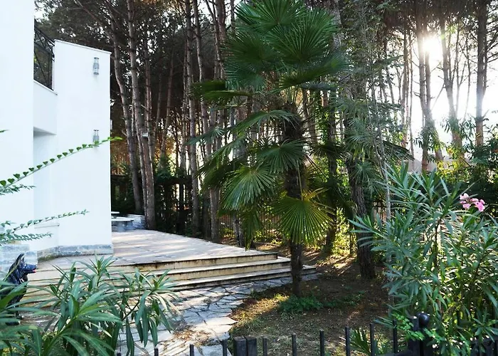 The Beachfront By Pikhost *