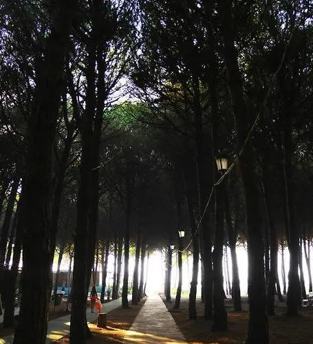 The Beachfront By Pikhost Golem (Tirana)