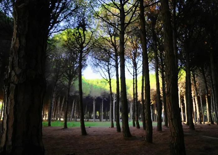 Apartment The Beachfront By Pikhost *