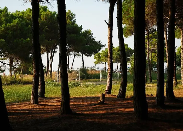 Apartment The Beachfront By Pikhost Golem (Tirana)